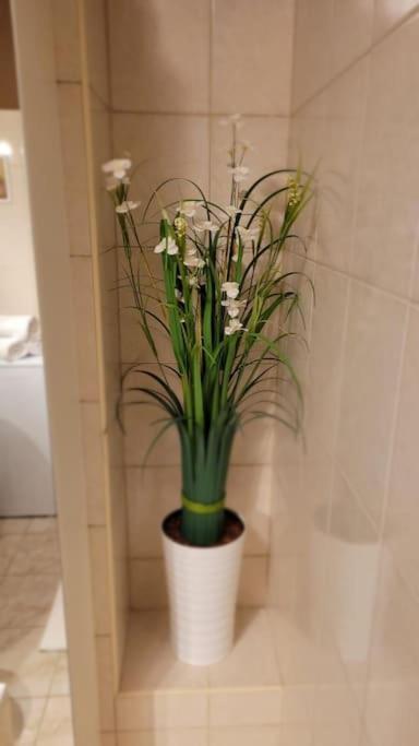 Cozy Modern Apartment Sunrise Studio 35M2 Balcony 3 Persons Красков Екстериор снимка